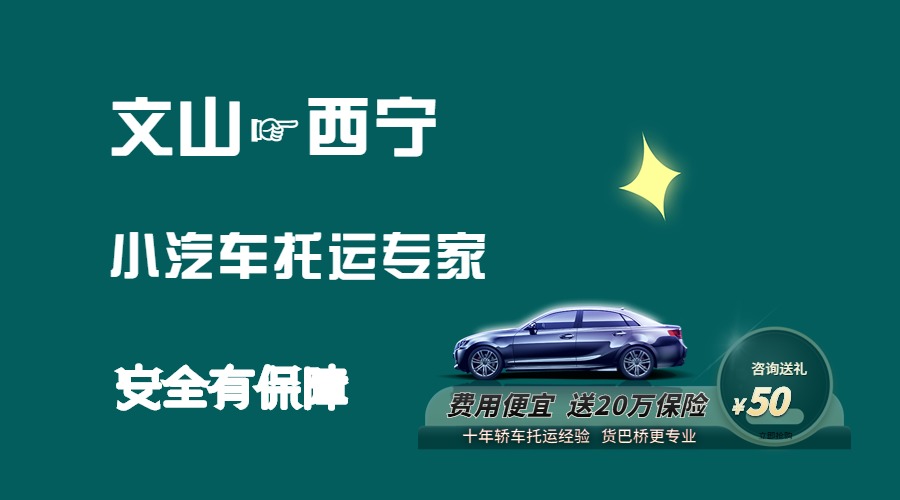 文山到西寧轎車托運 文山到西寧轎車托運